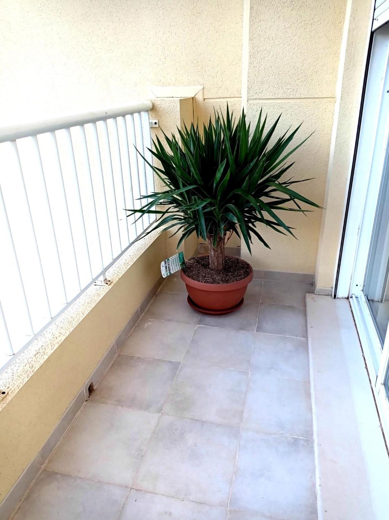 Apartamento Playasol Denia Exteriér fotografie